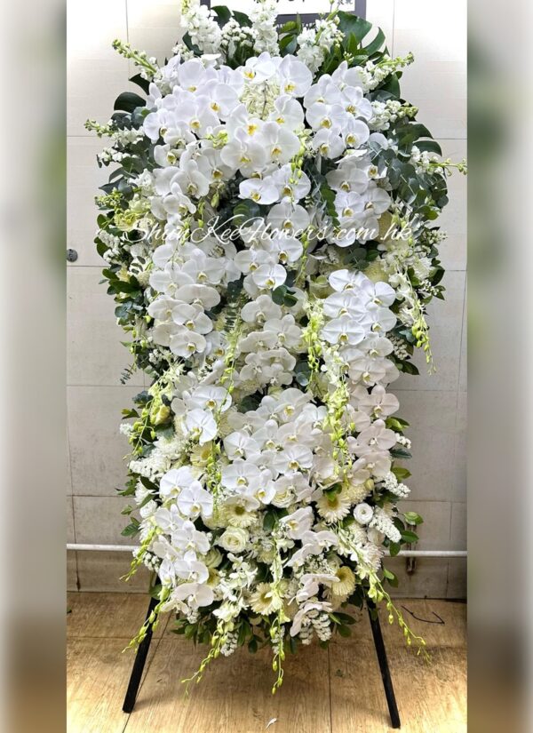 悼念花牌 7501