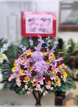 鴻圖大展 8851